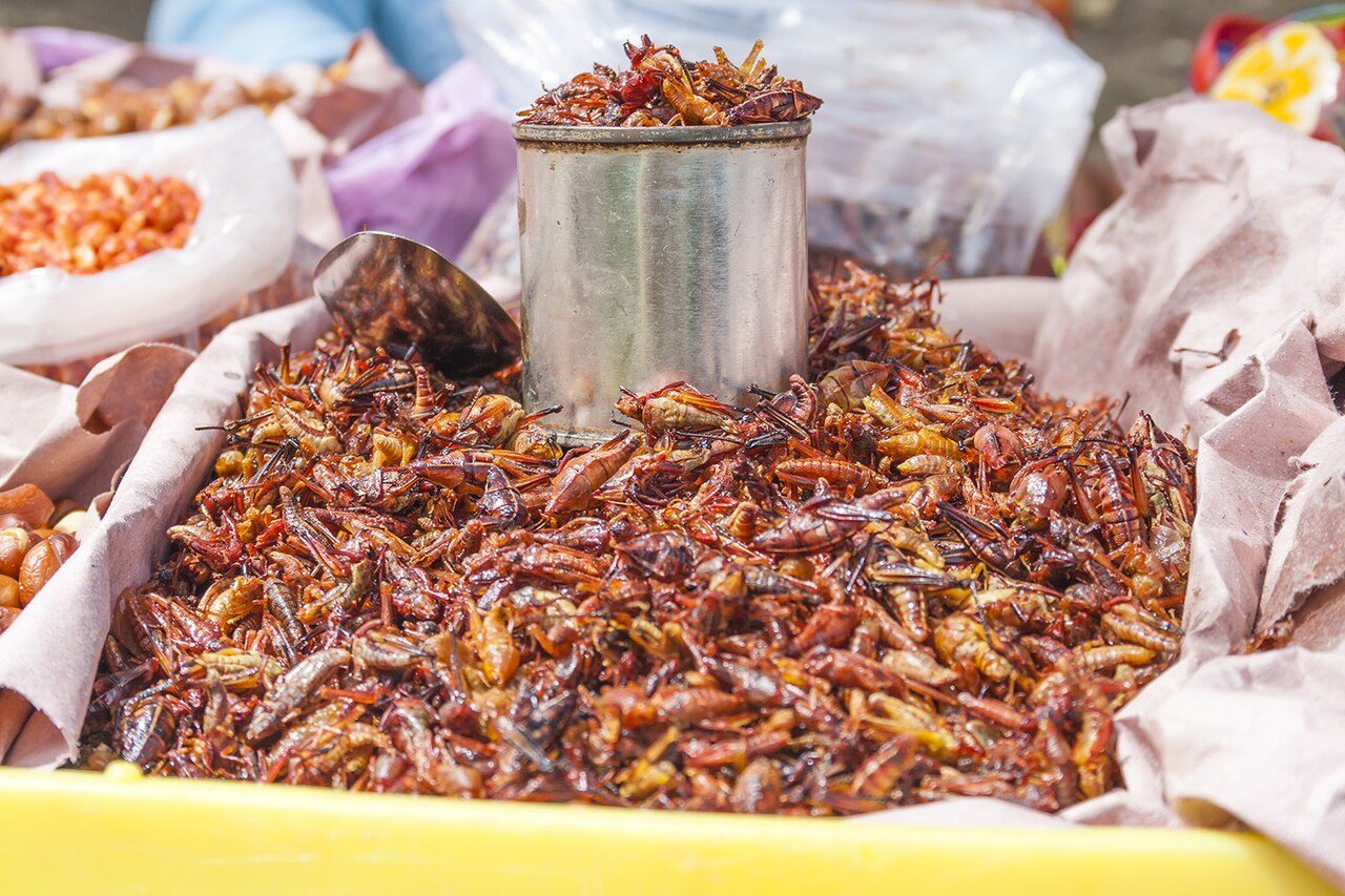 Chapulines (Toasted Grasshoppers with Lime and Chilli)